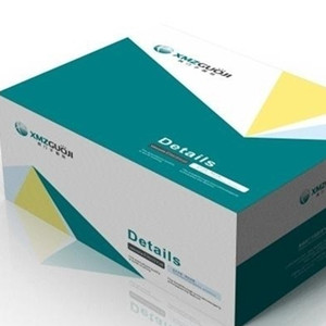 �����b�r(ji��)�������